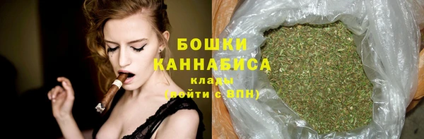 гидра Кинешма