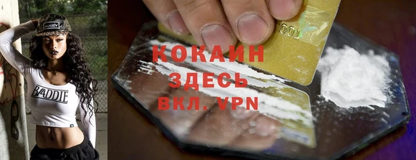 гидра Кинешма