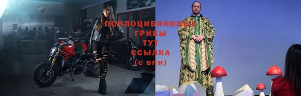 гидра Кинешма