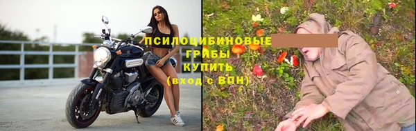 гидра Кинешма