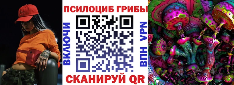 Псилоцибиновые грибы ЛСД  Купить где  Дубовка 